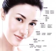 2017�u���_�\(y��n)��������Щ��