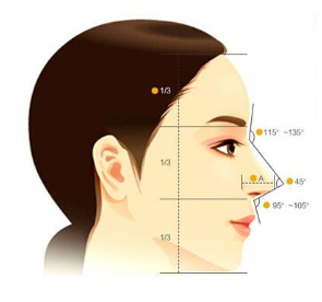 ���w¡�Ǻ�֏�Ҫ���