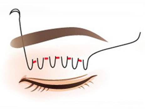 ���ͺ��؏����F�t(y��)������