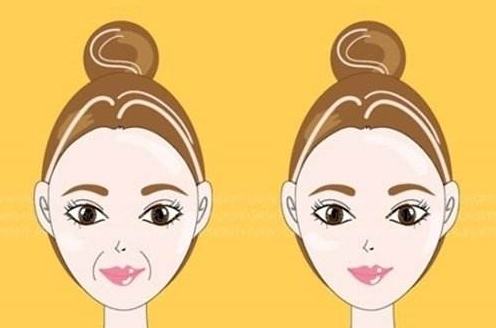 ���ͺ����������w֬������O����Ч�����@�᣿