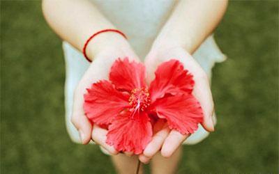 ���ͺ�������