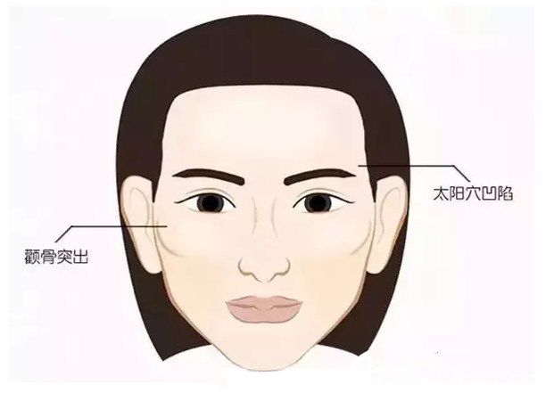 ���ͺ����������w֬���S̫�Ѩ��Ҫ�״�