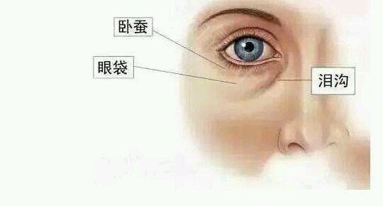 ���ͺ����۲������۴����P�Q����Щ�^(q��)�e��