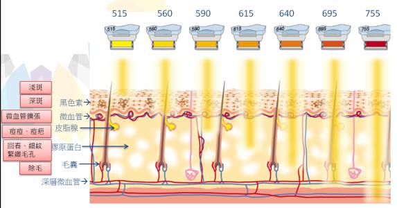 ���ͺ������沿���c(di��n)Óë�����X