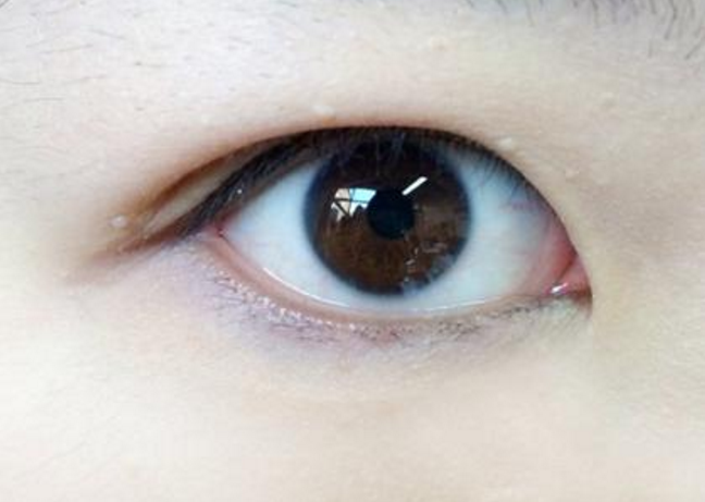 ���ͺ����p��Ƥ