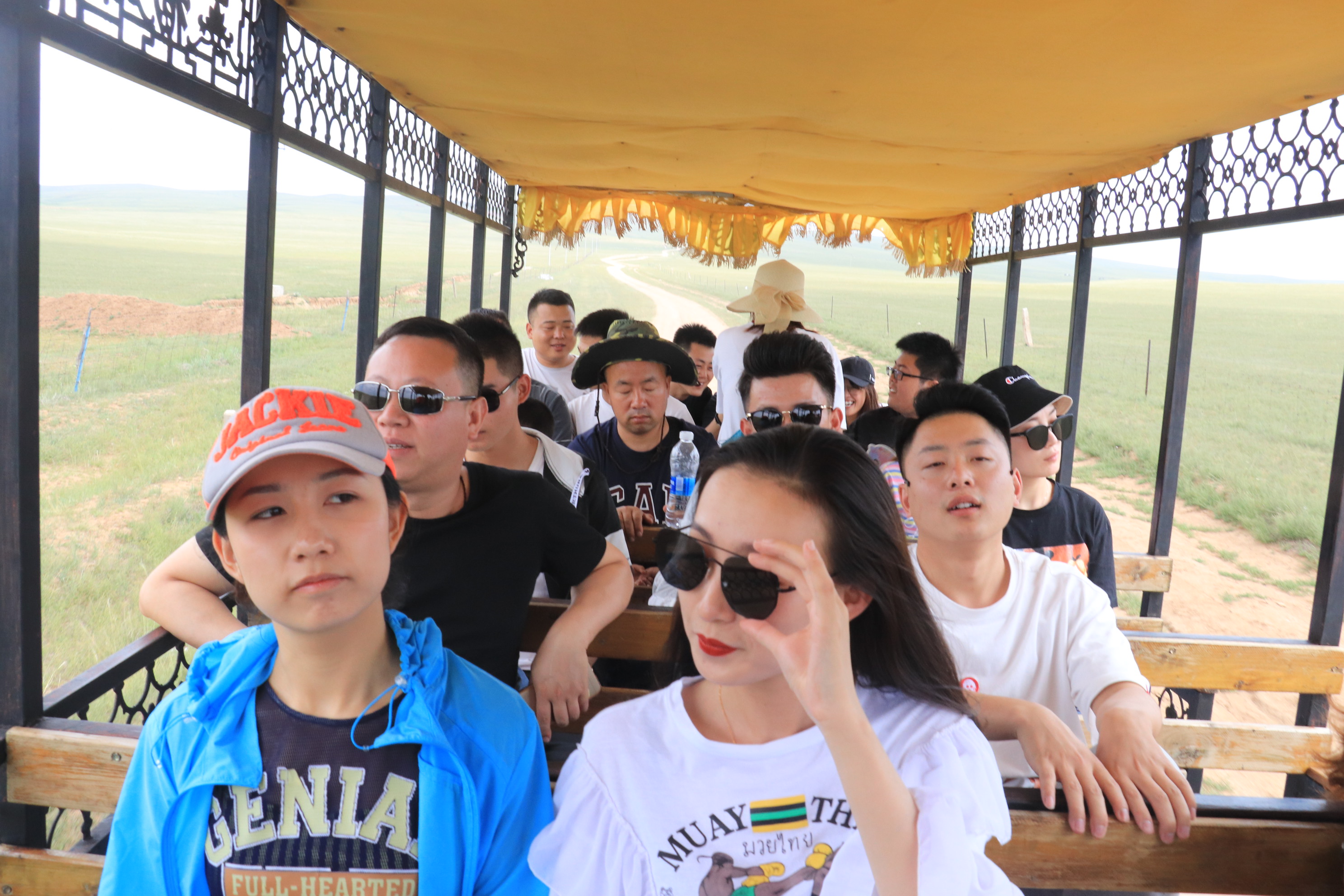 �����F�t(y��)������