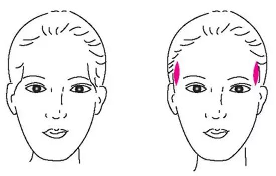 ���ͺ�������