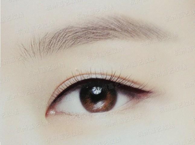 ���ͺ�������