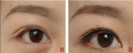 ���ͺ�������