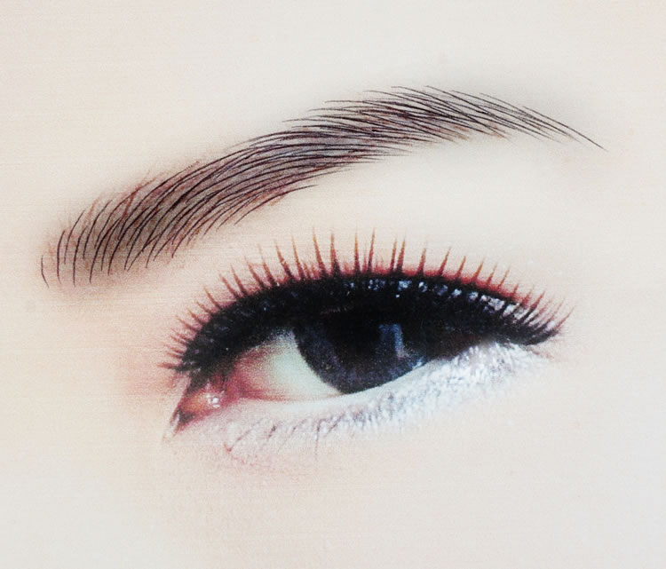 ���ͺ�������