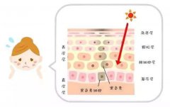 �������߰�����ȫ�أ�