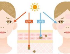 ������������Щ����������