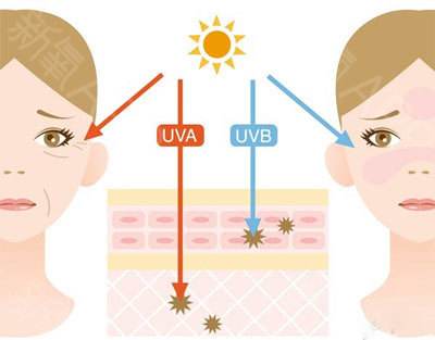 ���ͺ�������