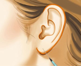 �����������w֬���S����